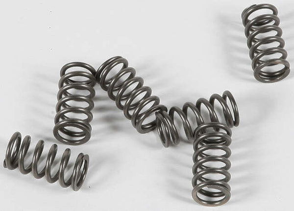 EBC CLUTCH SPRINGS CSK139