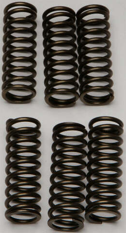 EBC CLUTCH SPRINGS CSK145