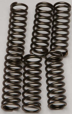 EBC CLUTCH SPRINGS CSK160