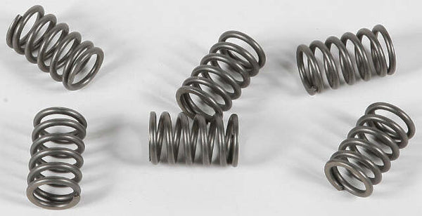 EBC CLUTCH SPRINGS CSK161