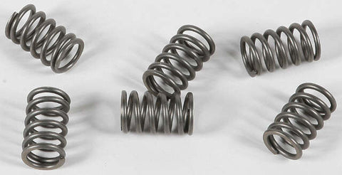 EBC CLUTCH SPRINGS CSK161