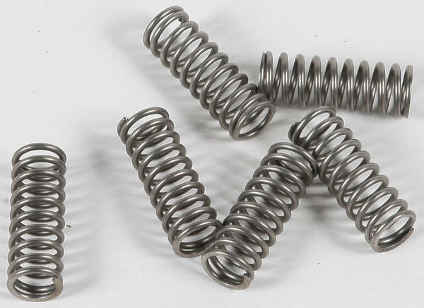 EBC CLUTCH SPRINGS CSK164