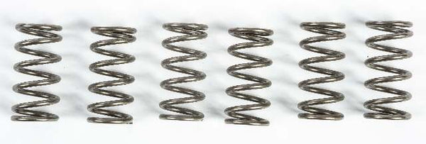 EBC CLUTCH SPRINGS CSK165