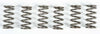 EBC CLUTCH SPRINGS CSK165