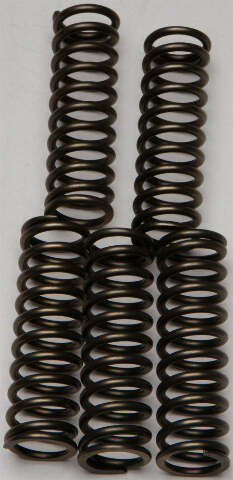 EBC CLUTCH SPRINGS CSK169