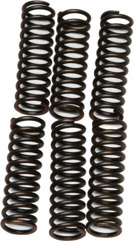 EBC CLUTCH SPRINGS CSK17