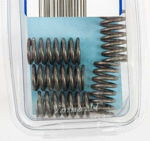 EBC CLUTCH SPRINGS CSK170