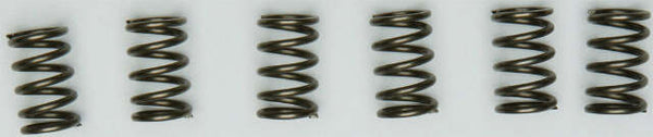 EBC CLUTCH SPRINGS CSK171