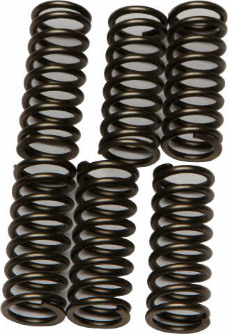 EBC CLUTCH SPRINGS CSK196