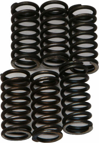 EBC CLUTCH SPRINGS CSK200
