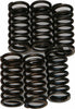 EBC CLUTCH SPRINGS CSK200