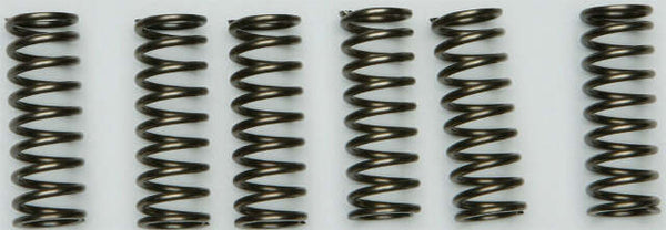 EBC CLUTCH SPRINGS CSK205