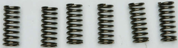 EBC CLUTCH SPRINGS CSK211