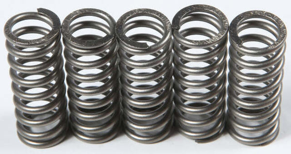 EBC CLUTCH SPRINGS CSK214