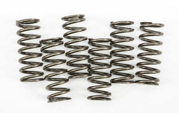 EBC CLUTCH SPRINGS CSK221