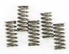 EBC CLUTCH SPRINGS CSK237