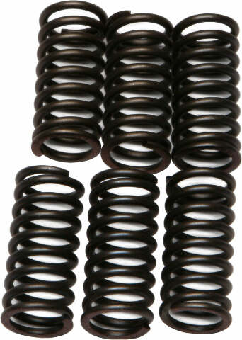 EBC CLUTCH SPRINGS CSK24