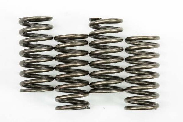 EBC CLUTCH SPRINGS CSK248
