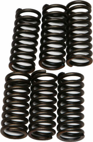 EBC CLUTCH SPRINGS CSK29
