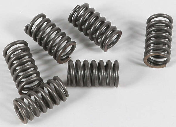 EBC CLUTCH SPRINGS CSK31