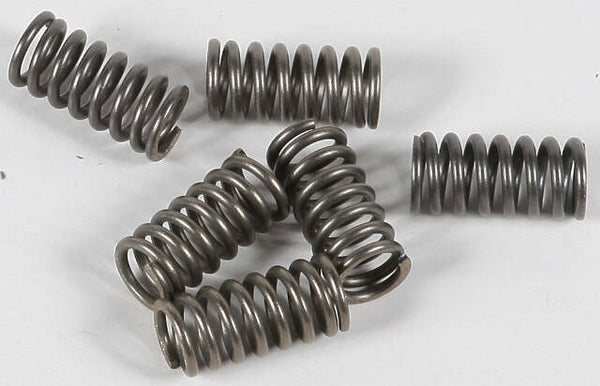 EBC CLUTCH SPRINGS CSK34