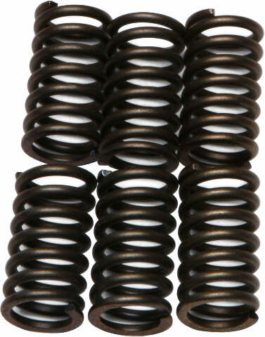 EBC CLUTCH SPRINGS CSK41