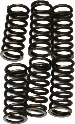 EBC CLUTCH SPRINGS CSK46