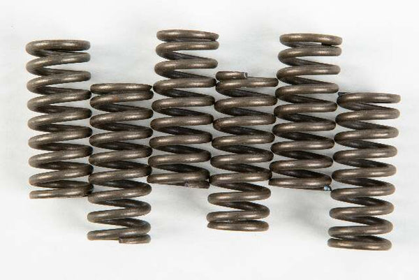 EBC CLUTCH SPRINGS CSK53