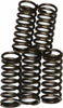EBC CLUTCH SPRINGS CSK66