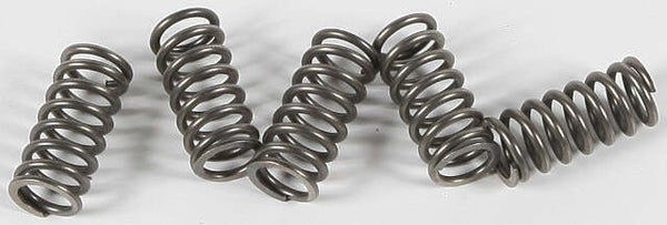 EBC CLUTCH SPRINGS CSK68