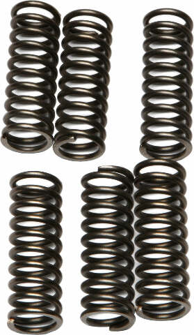 EBC CLUTCH SPRINGS CSK69