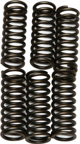 EBC CLUTCH SPRINGS CSK75