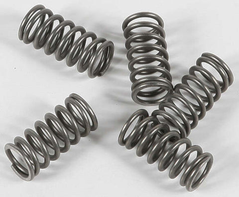 EBC CLUTCH SPRINGS CSK77