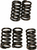 EBC CLUTCH SPRINGS CSK78