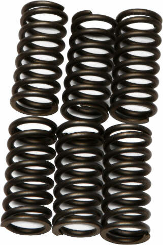 EBC CLUTCH SPRINGS CSK80