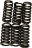 EBC CLUTCH SPRINGS CSK80