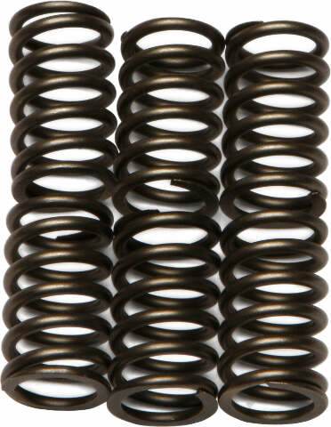 EBC CLUTCH SPRINGS CSK88