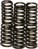EBC CLUTCH SPRINGS CSK88