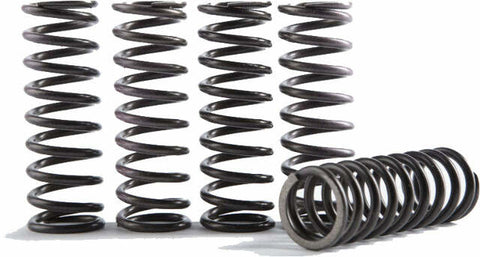 HINSON HI-TEMP CLUTCH SPRING KIT YZ250F '14-17 250FX '15-16 CS341-5-0415