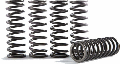 HINSON CS HIGH TEMP SPRING 6 SPRING CS755-6-0116