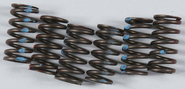 KG HIGH PERFORMANCE SPRING SET KGS-028