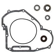 VERTEX WATER PUMP REBUILD KIT 821891