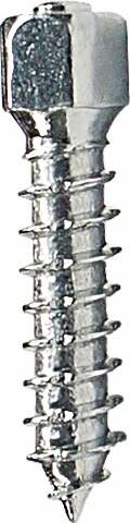 WOODYS ATTACK TWIST SCREWS 25MM 100/PK WST-0625-100