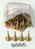 STUD BOY POWER POINT PUSH-THRU CARBIDE STUDS 1.187