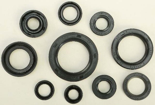 WINDEROSA OIL SEAL SET 822107