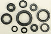 WINDEROSA OIL SEAL SET 822107