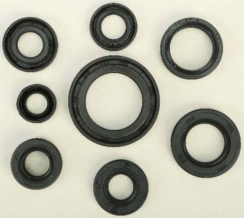 WINDEROSA OIL SEAL SET 822130