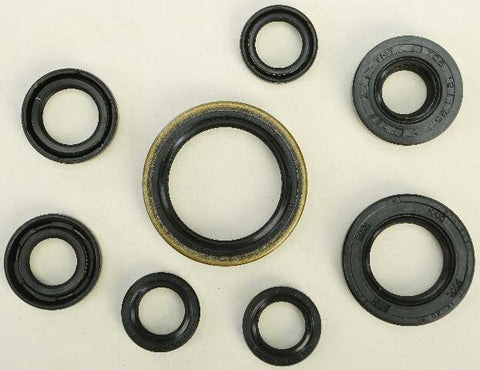 WINDEROSA OIL SEAL SET 822175