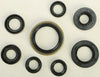 WINDEROSA OIL SEAL SET 822175
