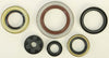 WINDEROSA OIL SEAL SET 822348
